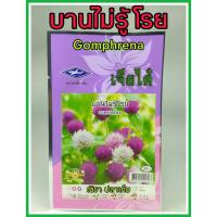 ราคา เมล็ดพันธุ์ บานไม่รู้โรย gomphrena แตกแขนงดี ดูแลน้อย ต้นแข็งแรง ปลูกง่าย น้ำหนักดี ผลผลิตสูง ทนโรค ไม้ดอก ไม้ประดับ (5033607366)