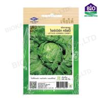 ราคา เมล็ดพันธ์ุผักเจียไต๋ เมล็ดผักสลัด ไอซ์เบิร์ก คริสบี้ ,เรดโอ๊ค วีนัส ,ฟิลเล่ย์ กรีนเนอร์รี่ ,ผักสลัด มิกซ์ ,วอเตอร์เครส (23937633871)