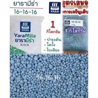 ราคา ปุ๋ยเคมีสูตร 16 16 16 (27079875802)