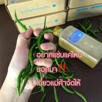 ราคา น้ำสลัดใสซีฟู๊ด หรอยอย่างแรง!! 500 กรัม (2308670393)