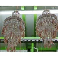 ราคา โมบายเปลือกหอยนาซ่าฟิลิปปินส์อันใหญ่ (28989272451)