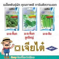 ราคา เจียไต๋ ผักซอง เมล็ดพันธุ์ผัก (ผักสายพันธุ์ทั่วไป) มะระ มะระขี้นก มะระจีน (8950148425)