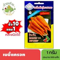 ราคา 3A (ซื้อ10แถม1) เมล็ดพันธุ์ เบบี้แครอท ขนาด 1กรัม ประมาณ 500 เมล็ด BABY CARROT เบบี้แครอท เมล็ดพันธุ์พืช เมล็ดผัก (6734561089)