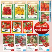 ราคา รวมเมล็ดพันธุ์ มะเขือเทศ แบบซองเล็ก สวีทบอย สวีทเกิร์ล มะเขือเทศราชินี เชอร์รี่ (26889388026)