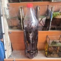 ราคา น้ำหมักใบหูกวาง สีเสียด เปลือกมังคุด (27930268374)