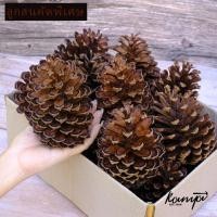 ราคา ลูกสนใซส์ใหญ่ตกแต่งต้นคริสต์มาสคัดพิเศษน้ำหนักเบาแขวนต้นคริสต์มาสไม่เสียทรงลูกสนลูกใหญ่พร๊อบถ่ายรูป (7423270652)