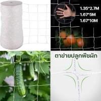 ราคา ตาข่ายปลูกพืชผัก 2 เมตร x ยาว 100 เมตร โครงไม้เลื้อย ค้างปลูกผัก อวนปลูกผัก ตาข่ายอวน ค้างแตง ไม้เลื้อย ตาข่ายไนล่อน สูง (29953204873)