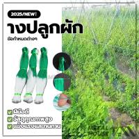 ราคา ตาข่ายปลูกพืชผัก ค้างปลูกผัก อวนปลูกผั ตาข่ายสำหรับพืชไม้เลื้อย ผลิตจากพลาสติกไนล่อนคุณภาพสูง 2*100m (29278847976)
