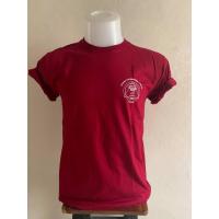 ราคา เสื้อยืดผู้ชายSUPERTEESลายสามเหลี่ยมCopenhagen (3887660612)