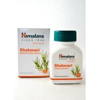 ราคา Himalaya Shatavari 60 tablets (23128910182)