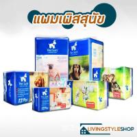 ราคา แพมเพิสสัตว์เลี้ยง ผ้าอ้อมสัตว์เลี้ยง แพมเพิสสุนัข ซึมซับดีมากตลอดคืน ผ้าอ้อมสุนัข Petsoft ขอบยางนุ่ม เพศเมีย (21424529297)