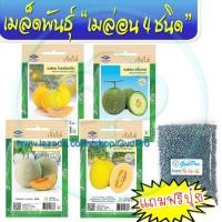 ราคา ผลิตภัณฑ์ใหม่ เมล็ดพันธุ์ 2022เมล็ดอวบอ้วน เมล่อน 4 ชนิด แถมปุ๋ยบำรุงเมล็ดอวบอ้วน 100% รอคอยที่จะให้ความสนใจของค/ผักบุ้ง (20168137525)