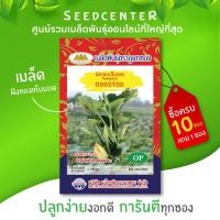 ราคา เมล็ดฟักทองยอด ขนาด 3 กรัม ภูเขาทอง (4217604729)