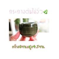 ราคา กระถางจิ๋ว/กระถางกระบองเพรช/กระถางเซรามิค (4036444020)