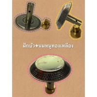 ราคา โครง + นมหนูทองเหลือง (43559283923)