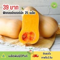 ราคา เมล็ดพันธุ์ฟักทองบัตเตอร์นัท บรรจุ 25 เมล็ด (41005395913)