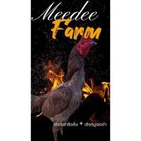 ราคา ไข่เชื้อไก่ชนพม่า เยียร์เขาลือลั่น+มูเซอดำ ไก่ใบล่ะ 45 (28316480350)