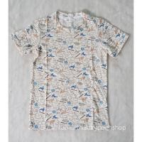 ราคา เสื้อยืด ลายไดโนเสาร์ size 4-6y (236213970)