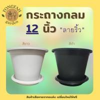 ราคา กระถางต้นไม้ใหญ่ สีขาว สีดำ ลายริ้ว 12 นิ้ว กระถาง กระถางต้นไม้ กระถางพลาสติก กระถางต้นไม้ Modernกระถางวินเทจ กระถางใหญ่ (11623384883)