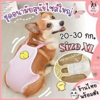 ราคา สัตว์เลี้ยง พร้อมส่งชุดอนามัยสุนัขไซส์ใหญ่ กางเกงอนามัยน้องหมาตัวเมีย กางเกงในสุนัข ชุดใส่เวลาเป็นฮีท ชุดเอี๊ยมอนามั (13406648716)