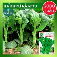 ราคา [2000+เมล็ด] เมล็ดคะน้าฮ่องกง คะน้าฮ่องกง เมล็ดพันธุ์ เมล็ดพันธุ์คะน้า คะน้ายักษ์ฮ่องกง Chinese broccoli Seeds นำเข้าจาก (10615661243)