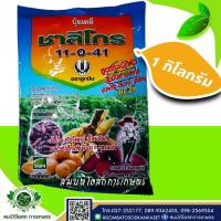 ราคา ชาลีโกร 11-0-41 น้ำหนักสุทธิ 1 กิโลกรัม ปุ๋ยมันสำปะหลัง มันฝรั่ง มันเทศ (9584471085)