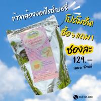 ราคา ข้าวกล้องงอกไรซ์เบอรี่แบบผง ชงดื่ม เพื่อสุขภาพ 100% ขนาด200g (29054214826)