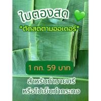 ราคา ใบตองสดสำหรับนำไปเย็บทำกระทงหรือทำบายศรี ใบตองสดออแกนิคจากสวนสมุทรสงคราม 1 มัด 1 กิโลกรัม (28436264929)