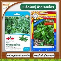 ราคา เมล็ดพันธุ์ ฟ้าทะลายโจร ตราศรแดง ตราสามเอ 3A (แบบซอง) เมล็ดฟ้าทะลายโจร เมล็ดพันธ์ุคุณภาพ เมล็ดพันธุ์พืชสมุนไพร (4094365495)