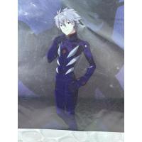 ราคา ✨ แฟ้มเอกสาร Kaworu Nagisa จาก Evangelion สุดเท่! ✨ (41158724136)