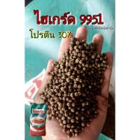 ราคา ไฮเกรด ปลาทับทิม (ปลากินพืช) แท้100% แพ็ค1กก. 9950 9951 เทอโบ (23270051438)