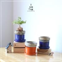 ราคา กระถางเซรามิค ปาก 2 นิ้ว ลายลาวา (8052690325)