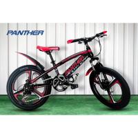 ราคา จักรยานเสือภูเขาเด็กล้อ 20 นิ้ว MAX 7 Speed ยี่ห้อ Panther (10630779501)