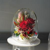 ราคา ดอกกุหลาบอมตะ สีแดง 2 ดอก ในโหลแก้ว อยู่ได้นานกว่า5 ปี ของขวัญวาเลนไทน์ วันครบรอบ วันเกิด เกษียณอายุ (25209903256)