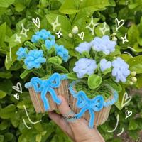 ราคา [พร้อมส่ง] ดอกมะลิ กระถางจิ๋ว กระถางดอกมะลิ ดอกมะลิวันแม่ (24195415696)