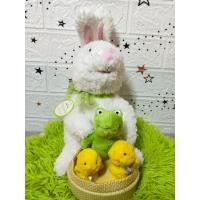 ราคา ตุ๊กตากระต่ายร้องเพลงป้ายHallmark (24307760528)