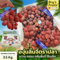 ราคา องุ่นแดงกลิ่นลิ้นจี่ ยกตระกร้า 3.5 กก (24683526789)