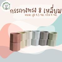 ราคา กระถางแคคตัส กระถางปูนแปดเหลี่ยม จิ๋ว สูง 4.5 cm กว้าง 4 cm กระถางกระบองเพชร กระถางปูน (20316729253)