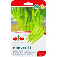 ราคา เมล็ดพริกหนุ่มขาวลูกผสม F1 หยกขาว 31 (28454672844)