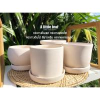 ราคา กระถางดินเผา กระถางต้นไม้ กระถางแคคตัส สีขาว สไตล์มินิมอล (4039420909)