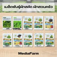 ราคา เมล็ดพันธุ์ผักสลัด เมล็ดพันธุ์ผักสวนครัว ผักสลัด ผักสวนครัว ผักไทย คื่นช่าย (26336612577)