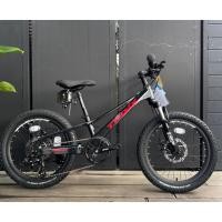 ราคา จักรยานเสือภูเขาเด็กแบรนด์ TRINX SEALS 3.0 ล้อ 20 นิ้ว (23277068619)