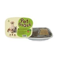 ราคา GreenPett ชุดปลูกหญ้า ต้นข้าวสาลีอ่อนออร์แกนิคสำหรับสัตว์เลี้ยง Pet Grass (43156975844)
