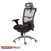 ราคา Ergotrend เก้าอี้เพื่อสุขภาพ รุ่น Beyond Blackbone-01BMF สีดำ (235419588)