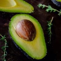 ราคา เมล็ดอโวคาโด้ avocado (566620916)