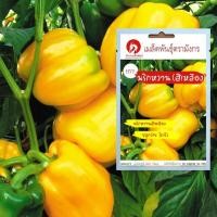 ราคา เมล็ดพันธุ์พริกหวานสีเหลือง – Quadrato D’Asti Giallo Pepper (เมล็ดพันธุ์คุณภาพดี) (6940174951)
