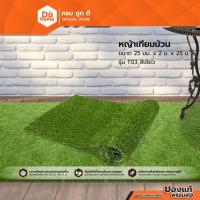 ราคา DOHOME หญ้าเทียม หนา 25 มม. ขนาด 2x1 เมตร รุ่น T03 สีเขียว |M| (5261426312)