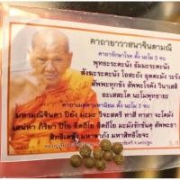 ราคา หลวงปู่เจือ วัดกลางบางแก้ว เม็ดยาจินดามณี ให้บูชา ชุดละ 9 เม็ด ใบคาถาเป็นสติ๊กเกอร์ติดที่ถุงซิบ ไม่ใช่ใบกระดาษ (29214655088)