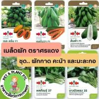 ราคา [ศรแดง][ชุดผักกาด คะน้า มะละกอ] ผักซองศรแดง เมล็ดพันธุ์ ผัก ศรแดง (17098758211)