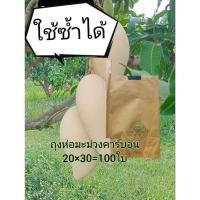 ราคา ถุงกระดาษห่อมะม่วง20×30 และผลไม้ คาร์บอน เคลือบกันน้ำสองชั้นคุณภาพดีตราเพชร (25494891445)